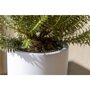 Pottery Pots Essential Puk ronde plantenbak mat wit detail